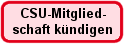 Wahlprogramm-Button