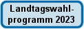 Wahlprogramm-Button