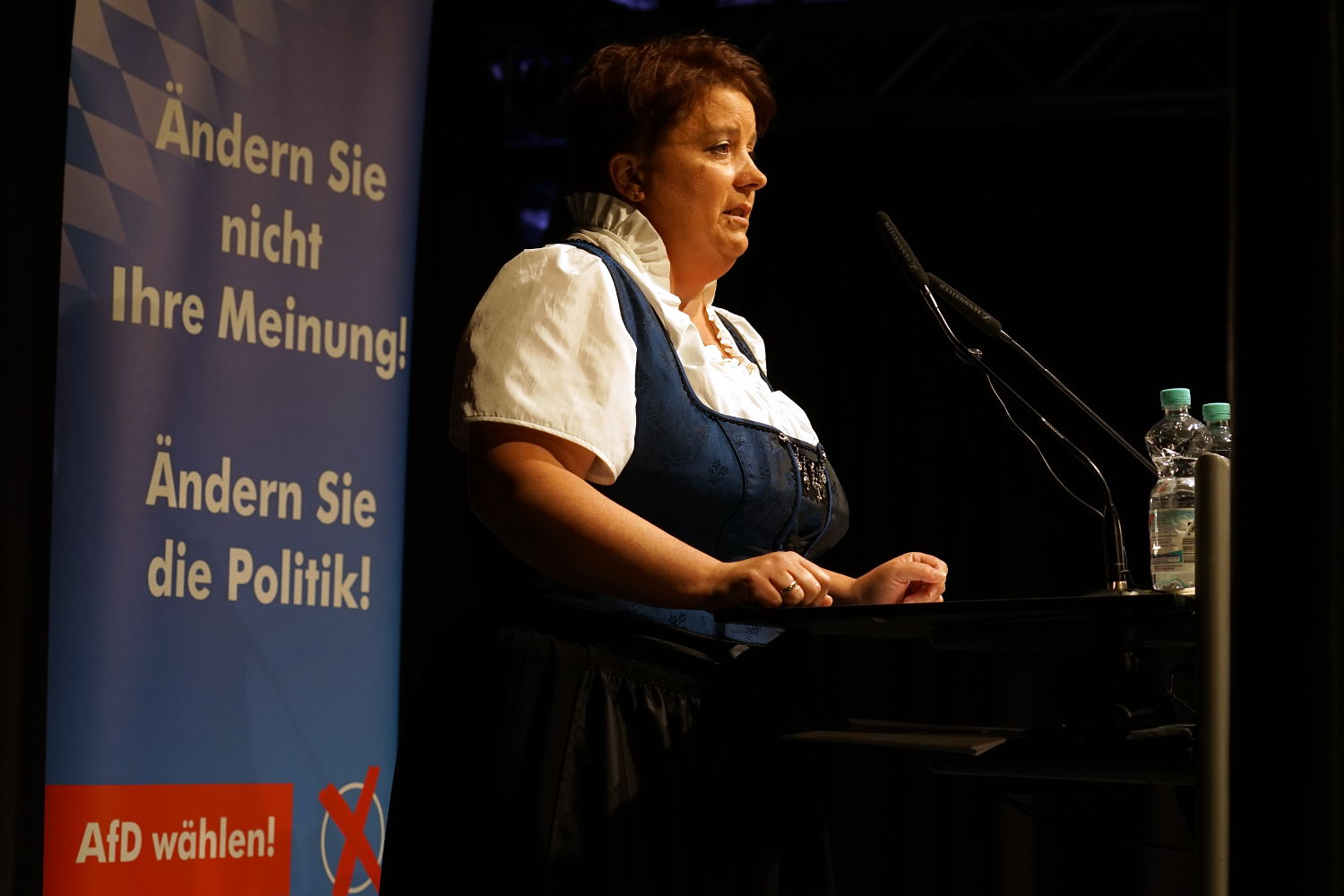 Heike Themel, Direktkandidatin für den Bezirkstag im Stimmkreis 120
