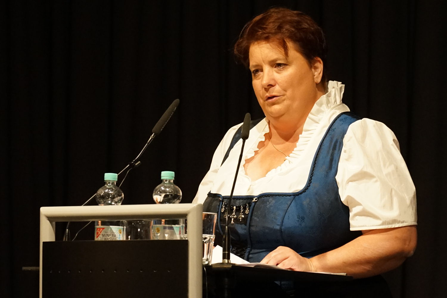 Heike Themel, Direktkandidatin für den Bezirkstag im Stimmkreis 120