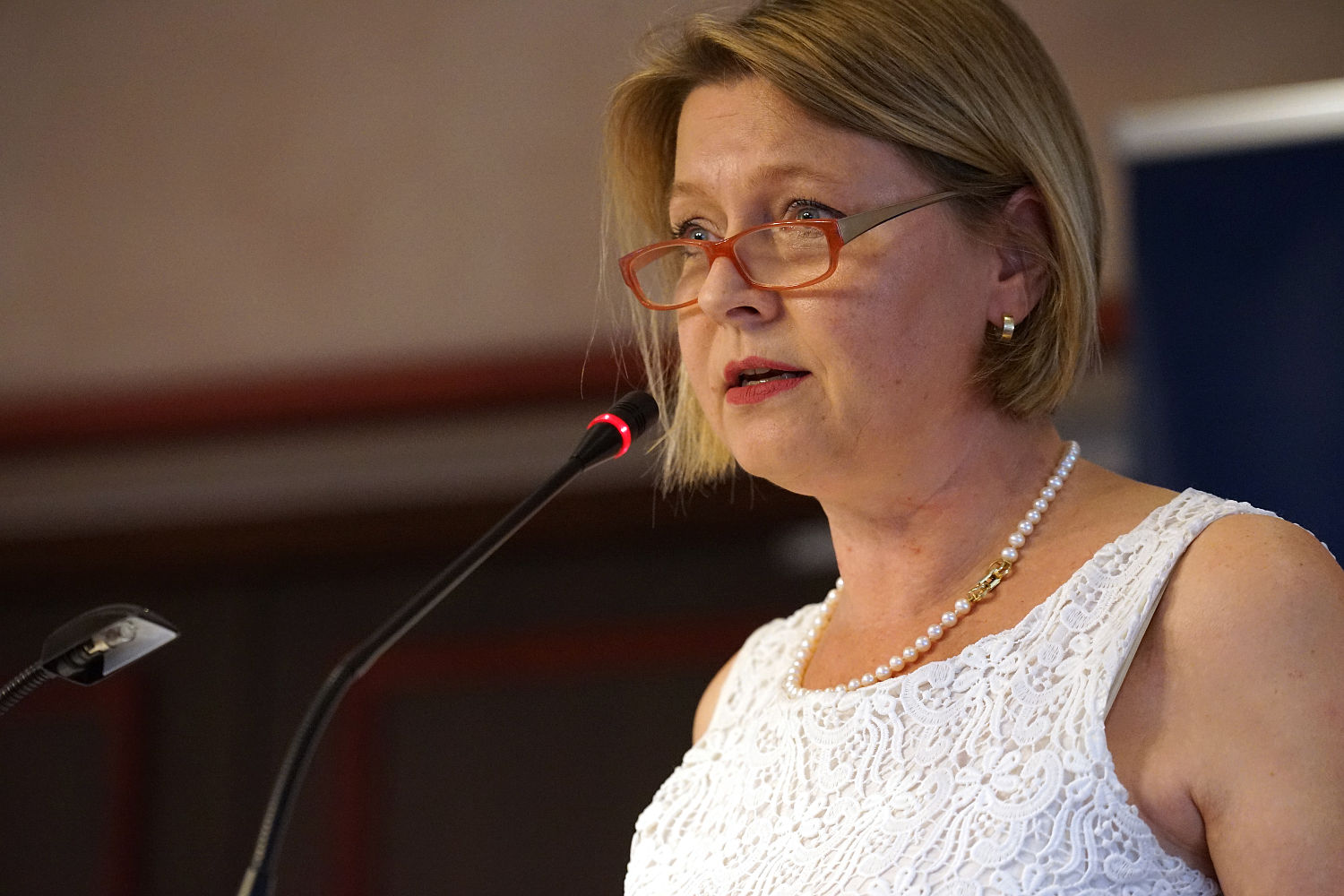 Edeltraud Schwarz, Direktkandidatin für den Landtag