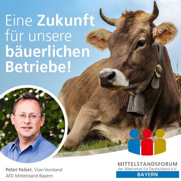 Peter Felser