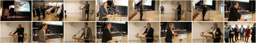 Bystron, Minibilder